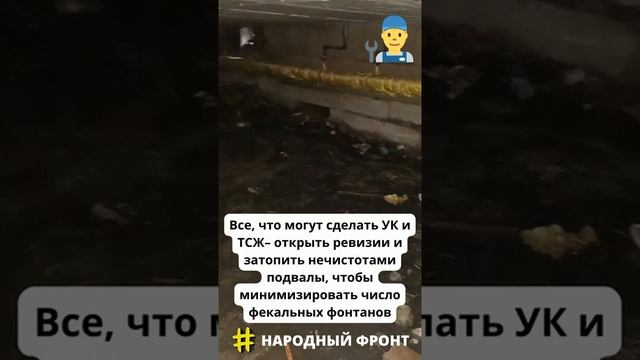 Жители более 40 воронежских домов пожаловались нам на фекальные потопы.mp4