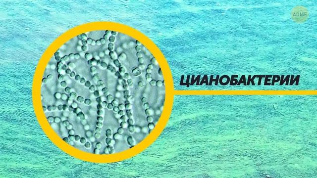 Базовые навыки для ситуаций, когда нужно действовать быстро