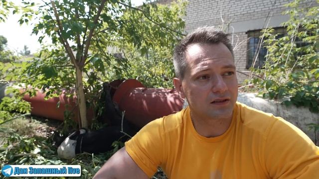 ДАН ЗАПАШНЫЙ - "ЧТО ТАКОЕ ДРЕССУРА?". Как я заслужил доверие у шимпанзе.