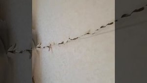 Распред коробка в панельном 9 эт доме