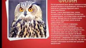 Красная книга окружающий мир 2 класс