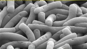 "PRO всё" 3 октября 2012 г. "Максилак"