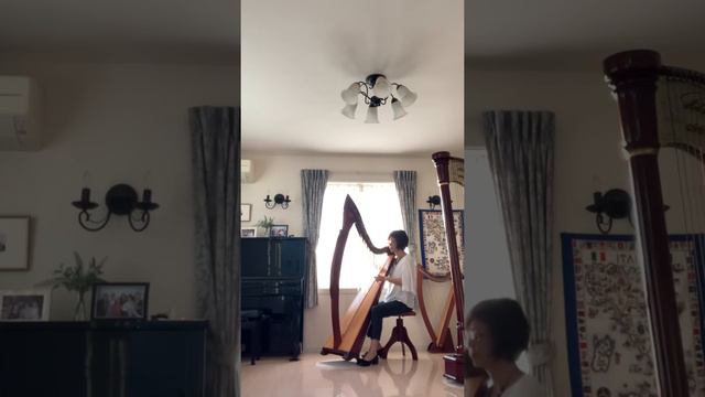 Ave Maria (G. Caccini / V. Vavilov) on Celtic Harp смотреть онлайн