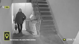 В Уфе женщина выбросила живую кошку в мусоропровод