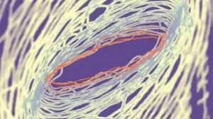 Rank 1 - Airwave (Original)