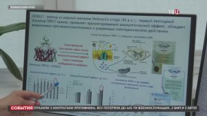 Уникальная разработка: Российские ученые создали обезболивающее из яда морских актиний