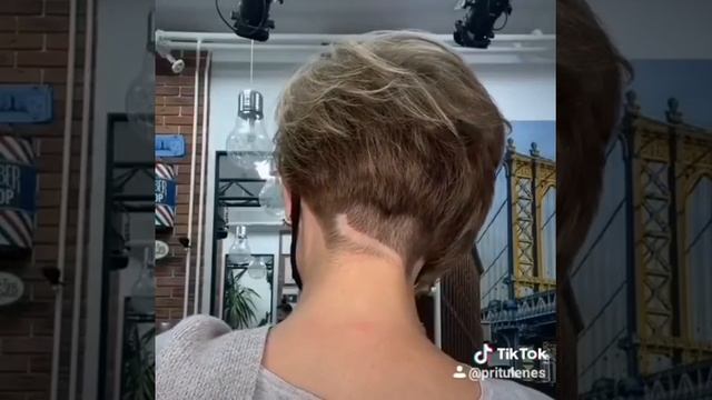 Стрижка, окраска. Ролик.