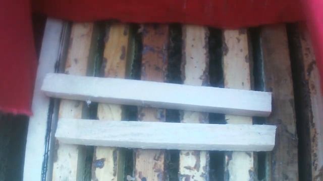 Осмотр и подкормка пчёл в январе. 09.01.2020. ПЧЕЛОВОДСТВО С НУЛЯ. КАК Я ЭТО ВИЖУ... смотреть онлайн