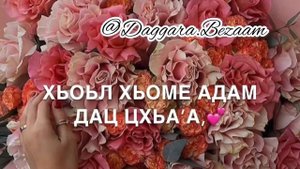 Дала декъал йойл хьо Нана