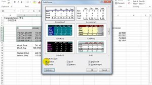 Excel 2016: AutoFormat