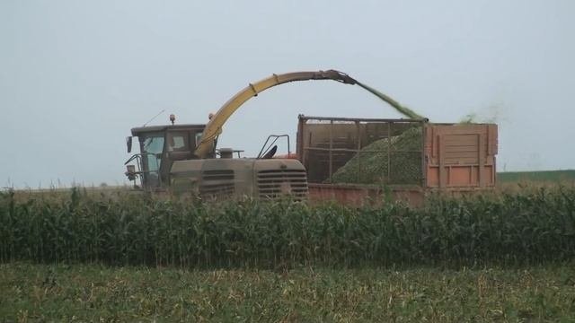 Уборка кукурузы на силос.Video HD.