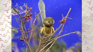 Шишкин Лес. Свободный урок. Птицы зимой