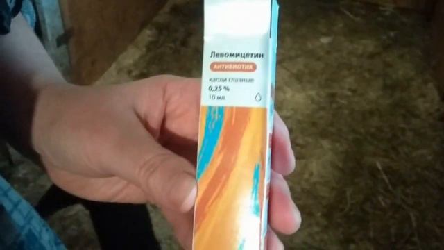 ПРОБЛЕМЫ В ХОЗЯЙСТВЕ!!! БЕЛЬМО У КОЗЫ!! смотреть онлайн