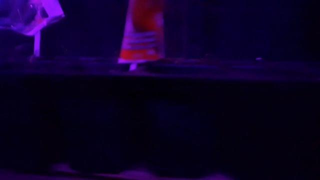 Вышло новое видео?? смотреть онлайн