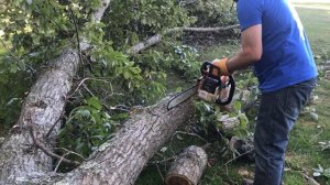 #60: Stihl MS 290 vs Stihl MS 271. What is my go-to chainsaw?
