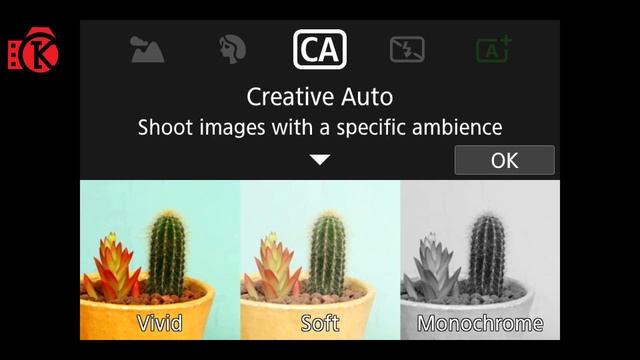 مراجعة كاميرا كانون Canon EOS 77D Review смотреть онлайн