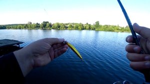 Sportex Nova Twitch RS-2 PT2111. Обзор, сравнение и тест