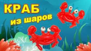 Краб из шаров. Мастер класс. Обучение. Balloon crab. Balloons. DIY. Hand made. How make. Masterclass