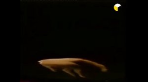 Рассказ Врача видевшая ад и рай.