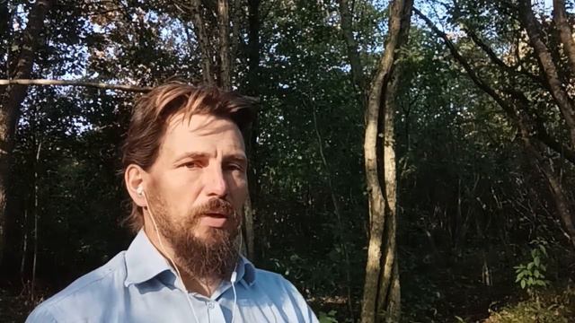 Синдром выученной безпомощности | Что это такое?