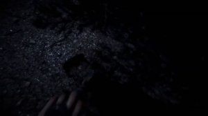 Sons of the Forest - Trailer Official