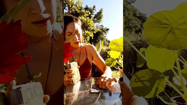 ✨️?☀️1-MIN Oracle Reading in the Garden☀️?✨️ Courageous Mama! Your New Beginning is Here ✨️?✨️ смотреть онлайн