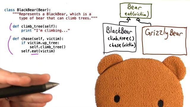 Difference Between Black and Grizzly Bear - Intro to Computer Science смотреть онлайн