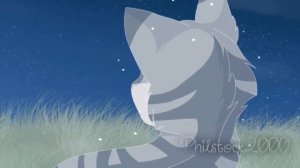 ~Клип~Коты воители~Крутобок и Серебрянка~Rewrite The Stars~