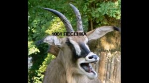 ПОТЕШКА ИДЕТ  КОЗА РОГАТАЯ