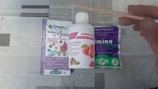 Плетеное дерево из ивы: почему не прижилось? Когда сажать? Как ухаживать?