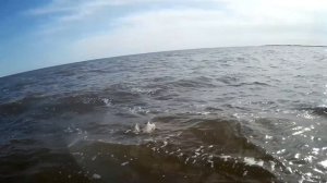 Озеро Ильмень.Ловим в большую волну . Рыбалка с физруком.Тролинг