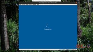 Как установить Windows 10 на Ubuntu Linux на виртуальную машину Oracle VM VirtualBox Manager