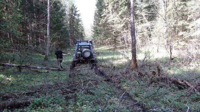 Лесами и урочищами Тверской области