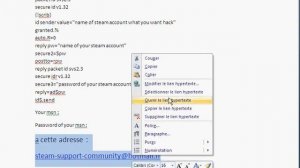 Hack compte steam marche a 100%