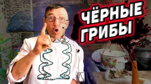 А ТЫ ЕЛ ЧЁРНЫЕ ГРИБЫ! Супчик из Чёрных Питерских грибов