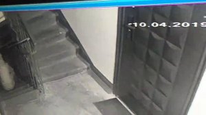 Обоссали подъезд по периметру и типа ни кто не видел