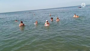 Купаемся В Чёрном Море Обзор Архипки