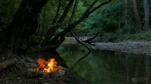 ?Костёр на берегу реки! ?Звуки природы, костра, ?пение птиц, ?шум воды, ?для медитации и релаксации