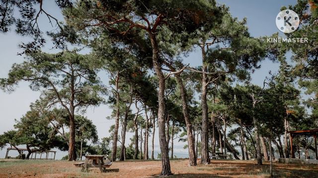 Муж выставил жену с младенцем из квартиры. Истории из жизни. смотреть онлайн