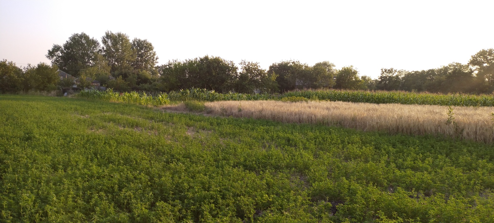 Два ровных участка на юге России! смотреть онлайн