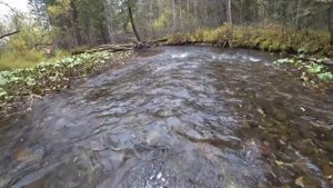 Осенняя РЫБАЛКА на ХАРИУСА/Первый СНЕГ в ТАЙГЕ/ Зачётный КЛЁВ на Розовый КЕМБРИК!!!