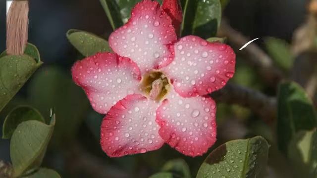 упражнения для лица после 40 смотреть онлайн