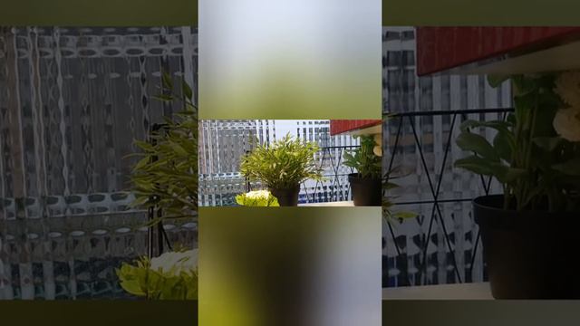 В Италии Украинку с ребёнком выгнали на улицу 💔😥почему за что?? смотреть онлайн