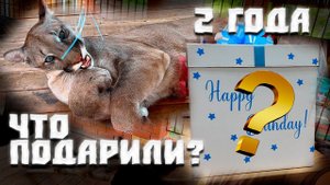 Второй День Рождения Нашей ПУМЫ что ПОДАРИЛИ ? Как отреагировал Брэйдж.
