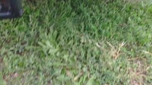 Заглушка на фаркоп американский квадрат за 11 рублей