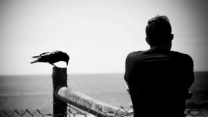 Инна Вальтер ОБРАСТАЕМ ВРАНЬЁМ.