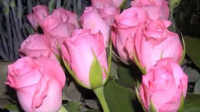 Медитация Повышение Женской Энергии смотреть онлайн