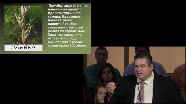 Пшеница или плевелы? Проповедует Савин Андрей. смотреть онлайн