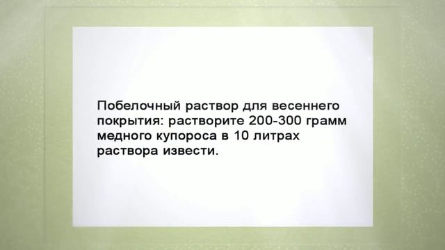 Когда белить деревья в саду? смотреть онлайн
