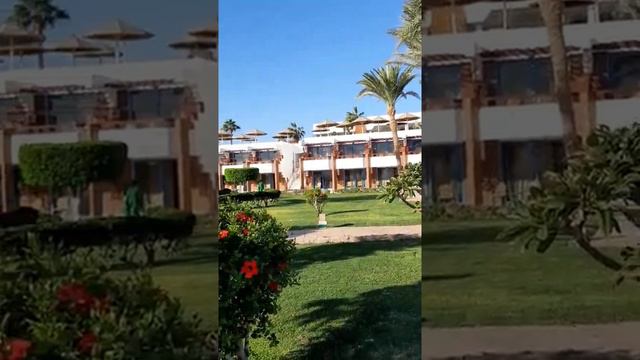 Відгук від туристів з відпочинку в готелі Pyramisa Sharm El Sheikh Resort 5* Єгипет, Шарм ель Шейх.